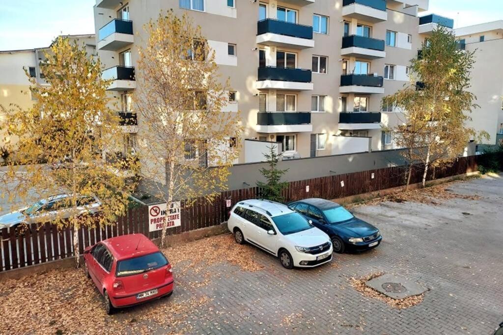 Spacious Flat, With Free Parking & Air Conditioning Floreşti Buitenkant foto